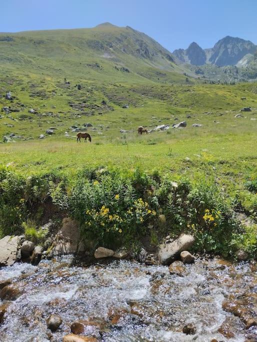 Apto Silencioso Vistas A Natura 帕斯底拉卡萨 外观 照片